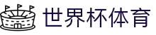 世界杯数据期间热门世界杯竞猜平台盘点与直播入口分析
